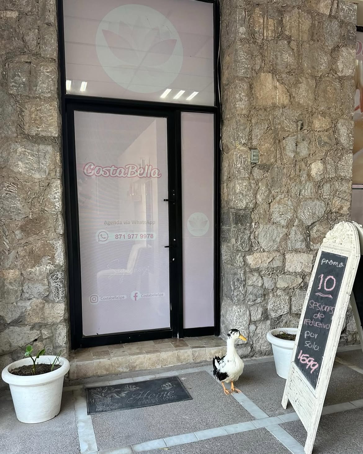 Instalaciones de lujo de Costabella Spa en la Comarca Lagunera